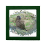 Kea Gift Box