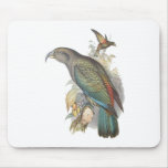 Kea (small only) mouse pad