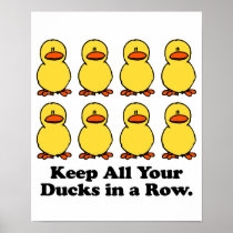 Keep All Your Ducks in a Row Print