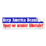 Keep America Beautiful