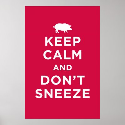 Keep Calm and Don't Sneeze Poster by workforfood