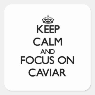 keep_calm_and_focus_on_caviar_stickers-r