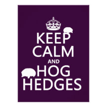 Keep Calm and Hog Hedges (Hedgehogs) (all colours) Personalized Invite