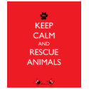 Keep Calm and Rescue Animals Black Paw t-shirts