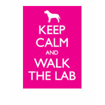 Keep Calm And Walk The Lab t-shirts