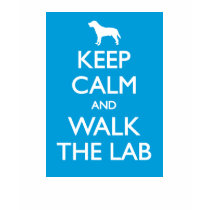 Keep Calm And Walk The Lab t-shirts