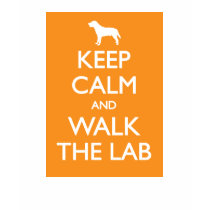 Keep Calm And Walk The Lab t-shirts