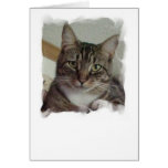 Keep Me Company Greeting Cards