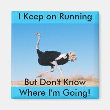 Keep on Running Ostrich Magnet