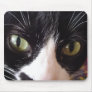Keep Your Cat Eyes On The Mouse! Mouse Mats