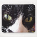Keep Your Cat Eyes On The Mouse! mousepads