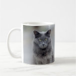 Keep Your Paws Off My Mug