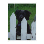 keeping an eye out post cards