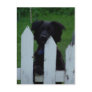 keeping an eye out post cards