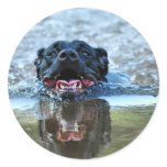Keeping cool sticker