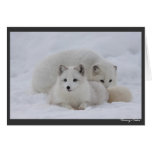 Keeping Warm Card