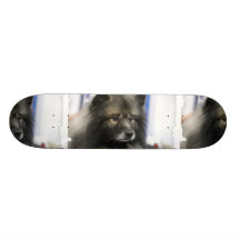 Keeshond Skateboard