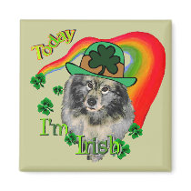 Keeshond St Patrick's Day Refrigerator Magnet
