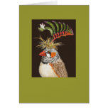 Keith, zebra finch card