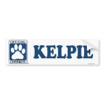 Kelpie Black