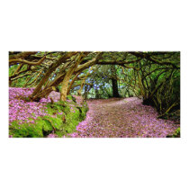 Kenmare Rhododendron Tunnel Personalized Photo Card