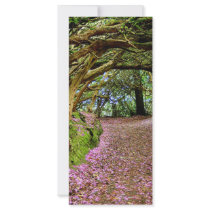 Kenmare Rhododendron Tunnel Custom Rack Cards