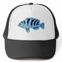 Green Mbuna