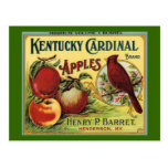 Kentucky Cardinal Bird Post Card