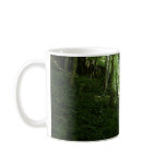 Kentucky Forest Mugs