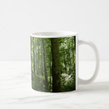 Kentucky Forest Mugs