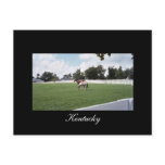 Kentucky Postcard