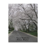 Kenwood Neighbourhood, Bethesda, Maryland Post Cards