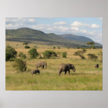 KENYA Elephants Roaming Posters