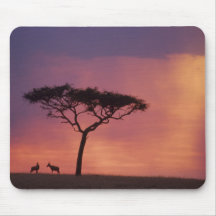 Kenya: Masai Mara National Park, Sunset. Mouse Mat