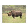 Kenya, Nairobi National Park. Black Rhinoceros Post Cards