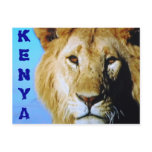 Kenya safari postcard