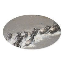 kenya wildebeest run