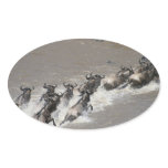 kenya wildebeest run stickers