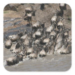 kenya wildebeest stickers