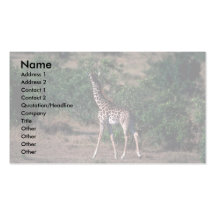 Kenyan Giraffe Business Card