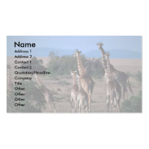 Kenyan Giraffes Business Card Templates