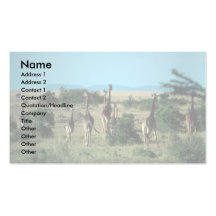 Kenyan Giraffes Business Cards