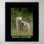 Kermode Bear Motivational Poster
