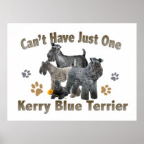 Kerry Blue terrier Can't Have Just One Posters