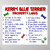 KERRY BLUE TERRIER PL2