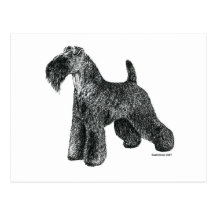 Kerry Blue Terrier Postcard