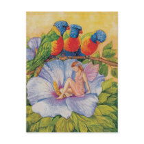 Kerstin Bischoff - Lories, Fairy & Hibiscus Flower Postkarte