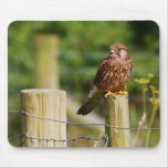 Kestrel Mousepads