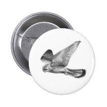 Kestrel Pinback Button