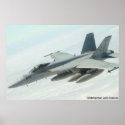 KESTREL posters